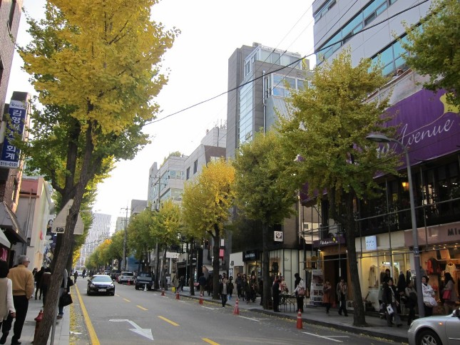 Photo Credit: Parksihoo4u.com