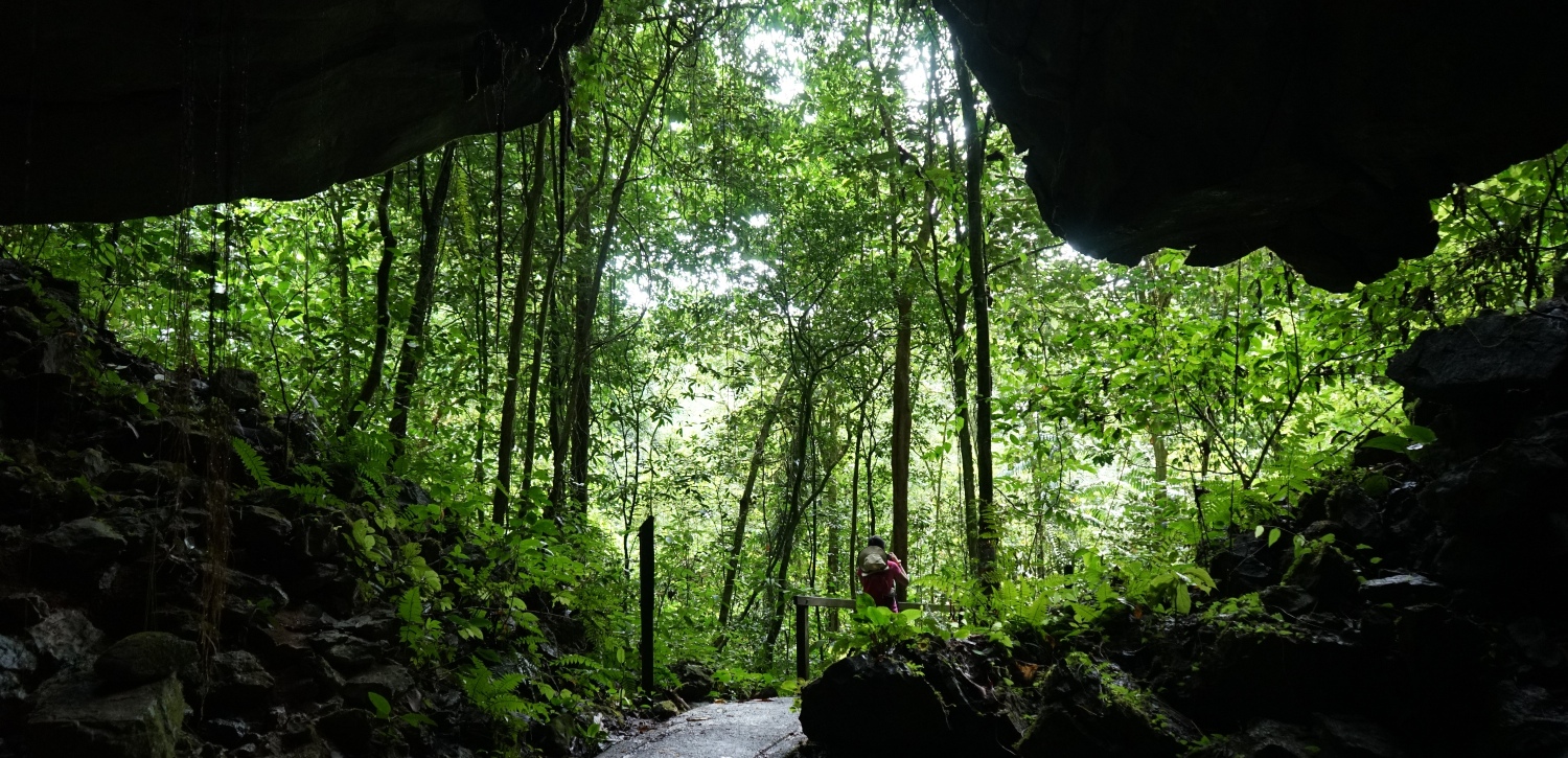 Mulu National Park